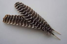 Load image into Gallery viewer, Smudge Station