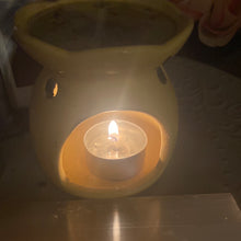 Load image into Gallery viewer, Botanical Kubes (Wax Melts)