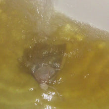 Load and play video in Gallery viewer, BB&#39;s Bath Tub Tea
